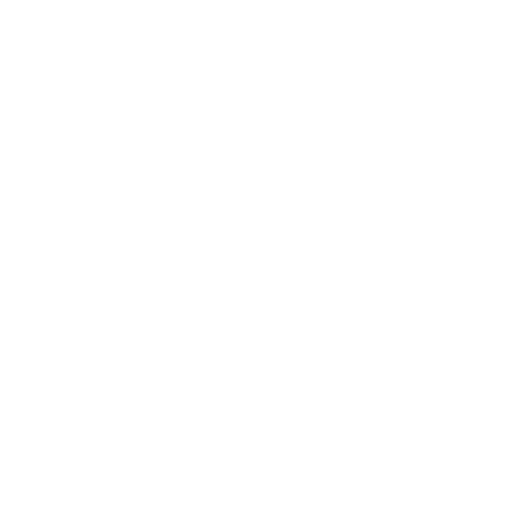 Reformer